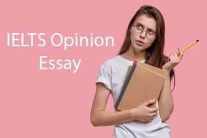 opinion essay